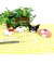 サンリオ ハローキティ 歯ブラシスタンド レッド Sanrio
