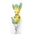 ポケットモンスター リーフィア ぺったりフック インテリア ポケモン