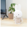 ミッフィー miffy ちょきんばこDX S（ベージュ） 貯金箱 インテリア