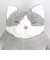 りぶはあと ねこ肯定感 抱きまくら L はちわれのかつお ぬいぐるみ インテリア リラックス