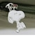 スヌーピー ミニショルダー サンフラワー カーキ SNOOPY