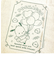 サンリオ ポチャッコ 35th マルシェバッグ エコバッグ グリーン 35周年 Sanrio