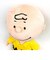 SNOOPY チャーリー・ブラウン ソフトぬいぐるみ チャーリーブラウン ぬいぐるみ スヌーピー M グッズ
