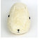 もふっとカピバラさん ホワイトさん ぬいぐるみ