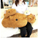 もふっとカピバラさん 抱きしめサイズ ぬいぐるみ ブラウン