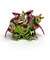 ドラゴンクエスト メタリックモンスターズギャラリー バラモス フィギュア コレクション