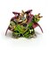 ドラゴンクエスト メタリックモンスターズギャラリー バラモス フィギュア コレクション