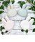 ミッフィー miffy くすみカラー ダイカットプレート S （マットグレージュ） 皿 キッチン