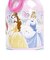 ディズニー プリンセス ステンレス一層ボトル(380ml) 水筒 ランチ Disney