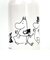 ムーミン 常温ドリンク用 一層ステンレスボトル 水筒 ランチ MOOMIN