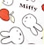 ミッフィー miffy ギンガムシリーズ クイックドライ フェイスタオル