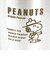 スヌーピー ビーグルスカウト 真空Wステンレスタンブラー(320ml) 食器 コップ SNOOPY