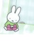 ミッフィー チェキホルダー グリーン miffy