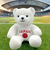 推しベア 日本応援 白 ぬいぐるみ クマ マスコット インテリア kuma and bear