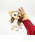 グレムリン ギズモ ぬいぐるみボールチェーン