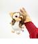 グレムリン ギズモ ぬいぐるみボールチェーン