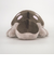 ポケットモンスター ドオー ぬいぐるみ(S) PP278 ポケモン