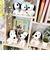 スヌーピー SNOOPY 75th 60s マスコット ぬいぐるみ ブルー