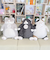 ねこ肯定感 みけねこのさんま BIGぬいぐるみ りぶはあと