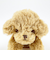 くたっとびより トイプードル マスコット ぬいぐるみ