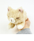 くたっとびより 茶ネコ マスコット ぬいぐるみ