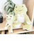 かえるのピクルス always fruits マスコット メロン ぬいぐるみ