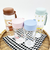 ミッフィー miffy プラボトル350ml(空) 水筒 ランチ