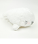 ほわころくらぶ ぬいぐるみ むくころちゃん マスコット