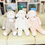 ひつじのメイプル ロップ 抱きまくら(L) ぬいぐるみ