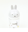 ミッフィー miffy ダイカットふりかけケース キッチン