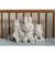 ミッフィー miffy x Little Dutch ギフトボックス3点セット ラッキーリーブス ギフトセット 出産祝い