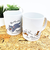 トムとジェリー レトロアートマグカップ(B) コップ