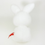 ミッフィー miffy 70th ナインチュ ぬいぐるみ