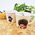 モンチッチ メジャーマグカップ シンプル コップ