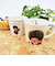 モンチッチ メジャーマグカップ アップ コップ