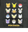 ポケットモンスター Tシャツ(120cm) でんきタイプ ブラック キッズ ポケモン アパレル