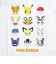 ポケットモンスター Tシャツ(140cm) でんきタイプ ホワイト キッズ ポケモン アパレル