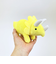 ふわダイナソーコレクション 本格派 トリケラトプス ストラップ付 ぬいぐるみ (イエロー) 恐竜