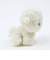 わたぽ ビションフリーゼ ぬいぐるみ