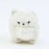 わたぽ ポメラニアン ぬいぐるみ