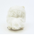 わたぽ ポメラニアン ぬいぐるみ