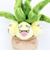 ポケットモンスター ナッシー ぬいぐるみ(S) (PP288) ポケモン