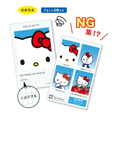 サンリオ　証明写真風スマロイド　証明写真風スマロイド ＮＧ集　新品２箱セット sanrio サンリオ 証明写真風 NG集 スマロイド 24種 コンプリート