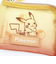 ポケットモンスター ピカチュウ グラデーション メッシュデイリーパスケース (オレンジ) ポケモン