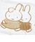 ミッフィー miffy のびのびタオルピローケース ダーン ブラウン 西川