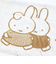 ミッフィー miffy のびのびタオルピローケース ダーン ブラウン 西川