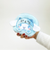 サンリオ シナモロール (ネコ) オーバルポーチ シナモン バンザイシリーズ Sanrio