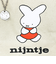 ミッフィー miffy 70th ナインチェ サイドボタンミニトートバッグ