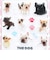 THE DOG フレンチブルドッグ ぷくぷくジェリーシール 犬 文具