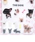 THE DOG フレンチブルドッグ ぷくぷくジェリーシール 犬 文具